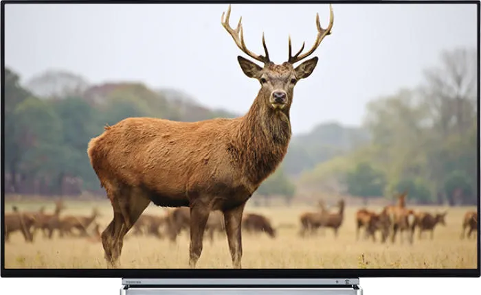 Ремонт телевизоров Toshiba 55V6763 в сервисном центре FIX-Toshiba